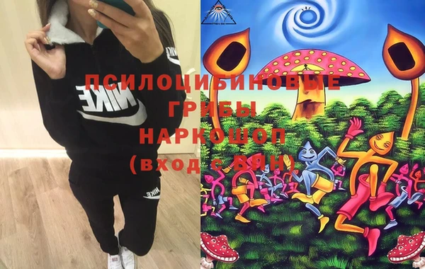 дживик Богданович