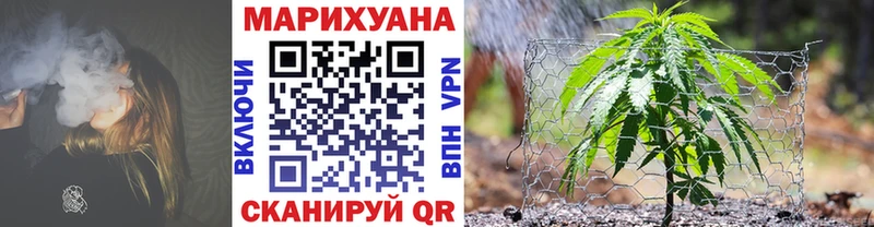Марихуана Bruce Banner Верещагино